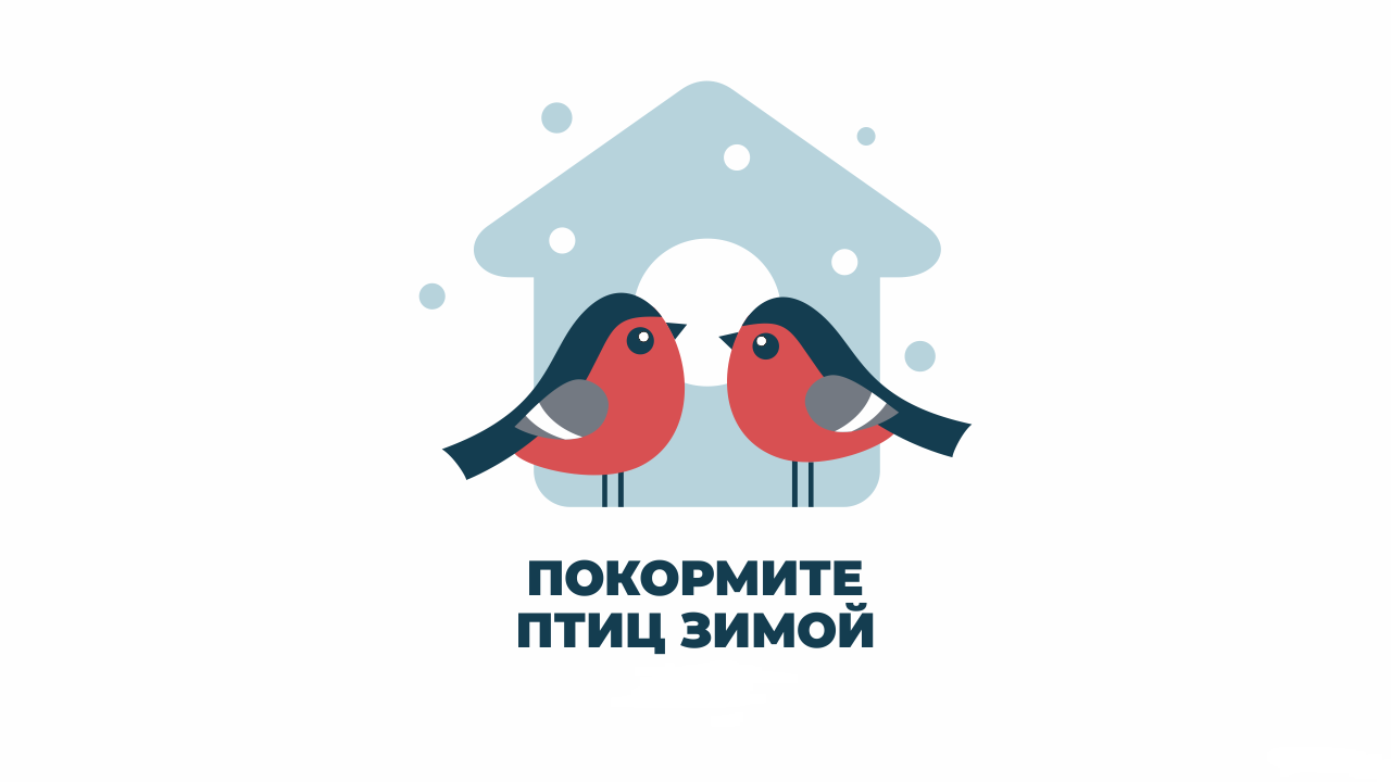Для птичьих кормушек самое время..